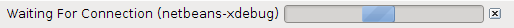 NetBeans-XDebug Waiting for Connection