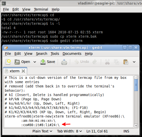 xterm gnome-terminal configuration file edit